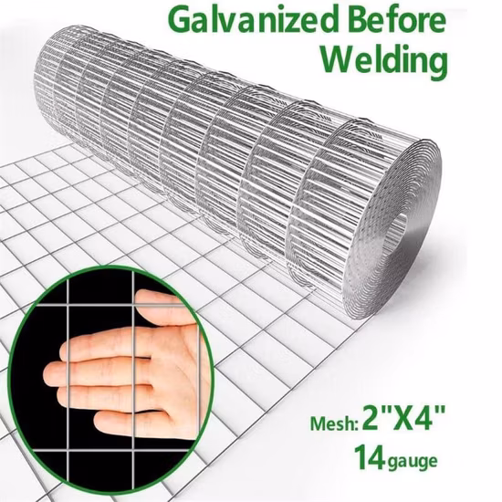 Galvanized Powder Coated Welded Wire Mesh Stainless Steel Wire Mesh