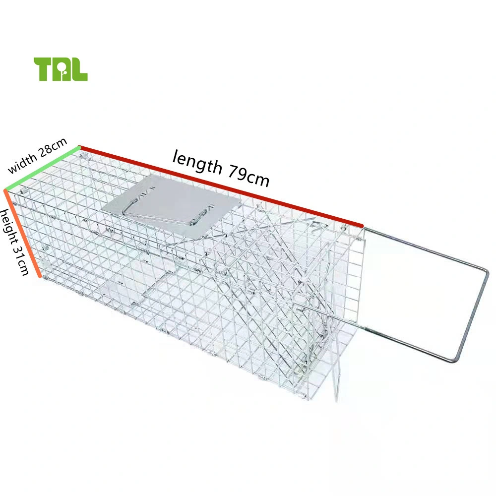 Live Animal Trap Iron Cage Catch Humane Cat Cage Trap for Animal