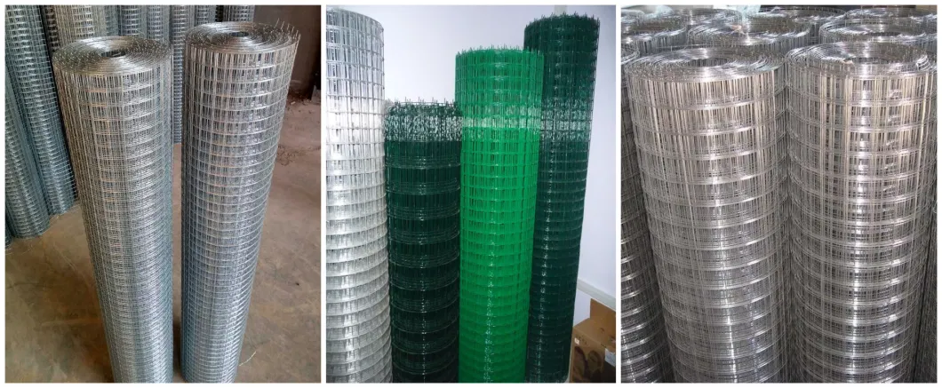 Galvanized Powder Coated Welded Wire Mesh Stainless Steel Wire Mesh
