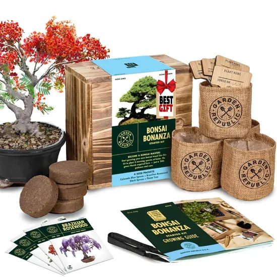 Amazon Hot Sell Organic Seed Indoor Horticulture